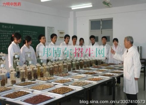 中醫(yī)學干什么的