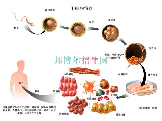 成都臨床醫(yī)學學校好不好