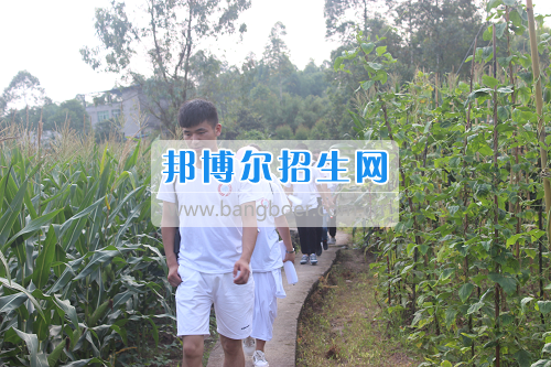 重慶城市職業(yè)學(xué)院開展2017年“三下鄉(xiāng)”暑期實(shí)踐活動(dòng)