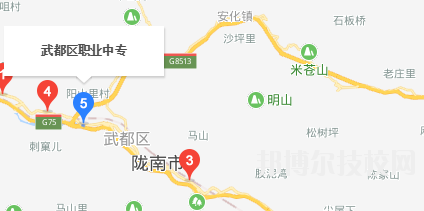 武都職業(yè)中等專業(yè)學校地址在哪里  