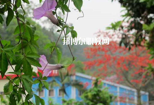 廣東省理工職業(yè)技術(shù)學校網(wǎng)站網(wǎng)址