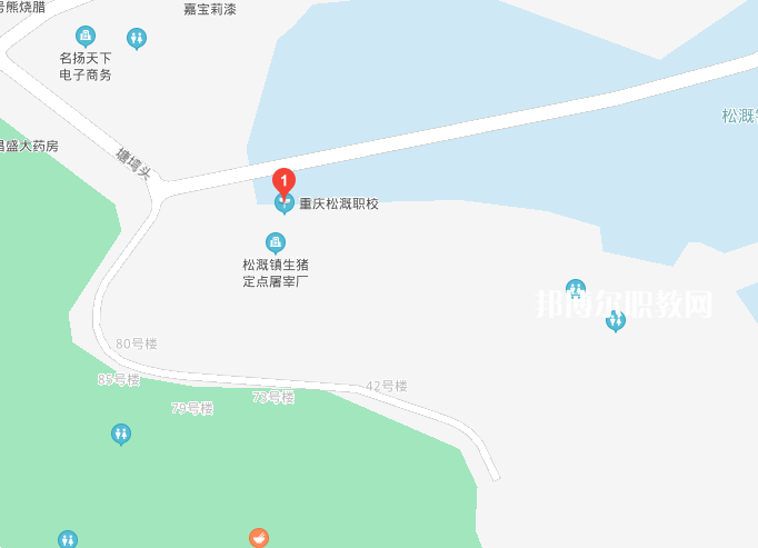 重慶松溉中等職業(yè)技術學校地址在哪