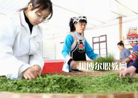 福建2023年女生讀中專學(xué)校學(xué)什么專業(yè)好