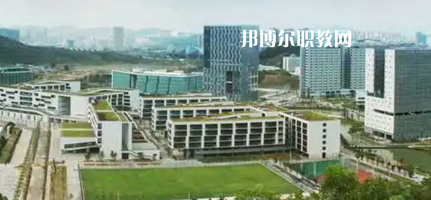 深圳公辦大專學校排名2023最新排行