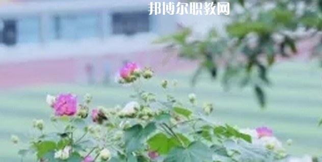 眉山技師學(xué)院地址在哪里，哪個(gè)地區(qū)，哪個(gè)城市?