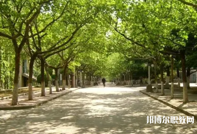 2025黃岡中專(zhuān)學(xué)校最新排名前三名單